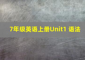 7年级英语上册Unit1 语法